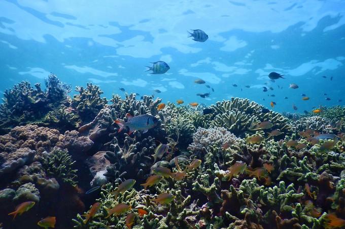 海南：春运首日迎客流高峰，全力做好交通保障